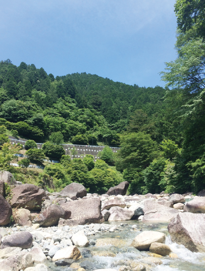 岐阜県の森林を活かすこと